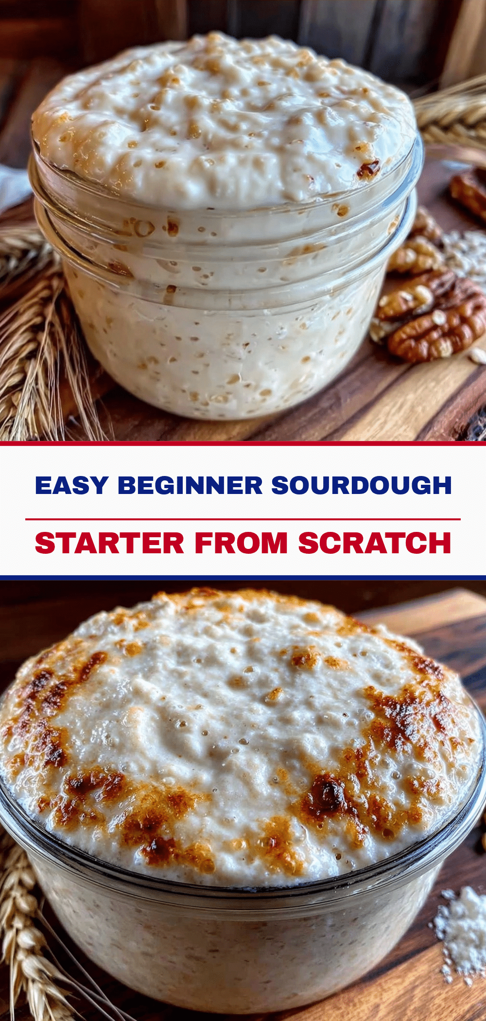 Beginner Friendly Sourdough Starter: Grandma’s Real Way 5 beginner friendly sourdough starter recipe
