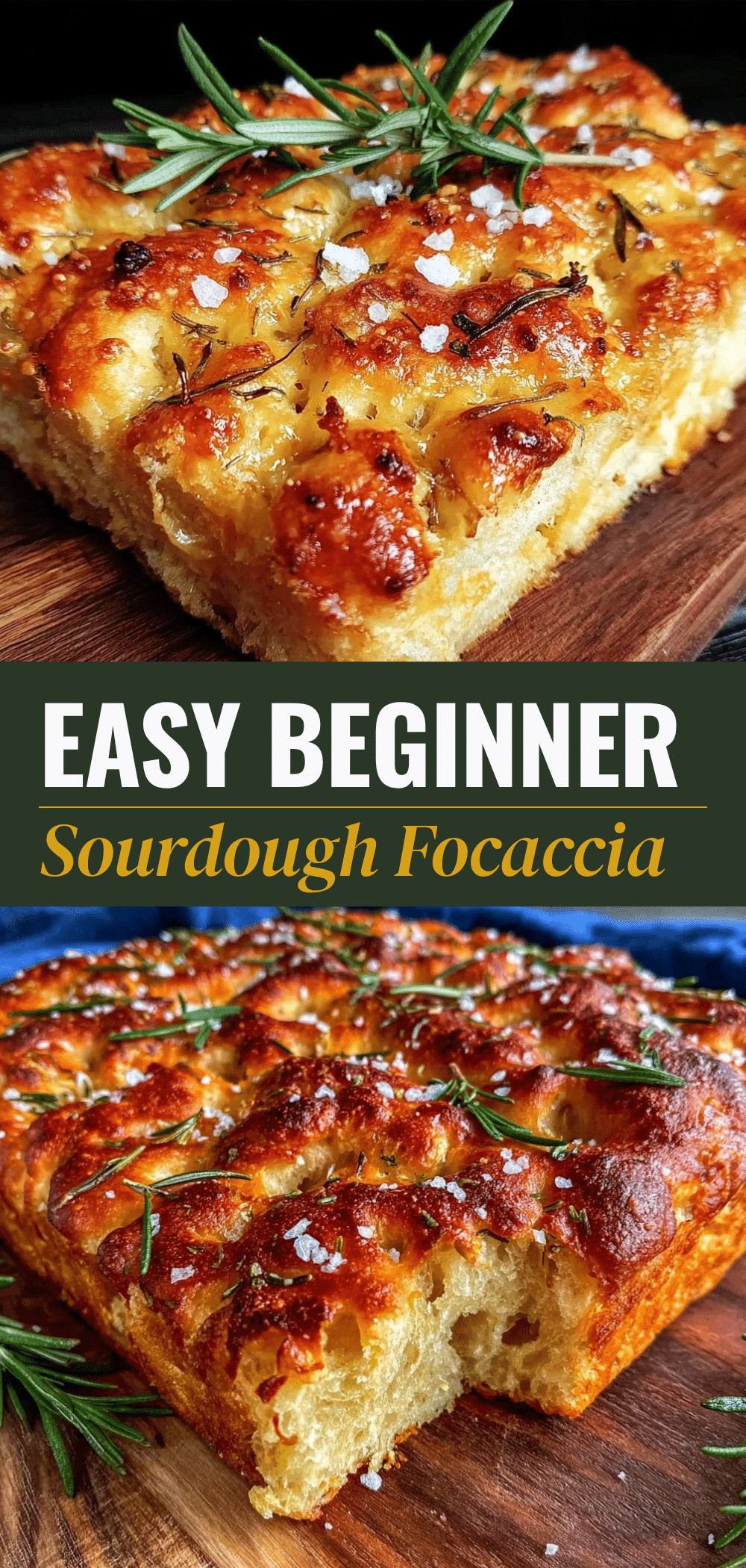 Beginner Sourdough Focaccia: Easy Kid-Friendly Bake 5 beginner sourdough focaccia recipe