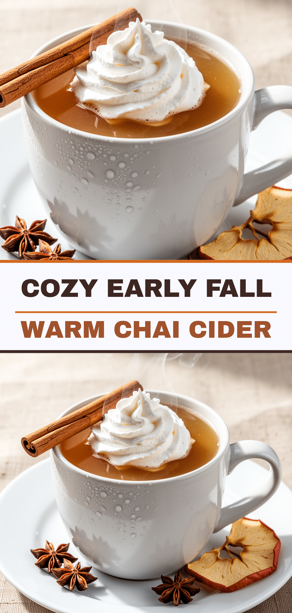 Chai Apple Cider: Easy Warm Spiced Drink 5 chai apple cider recipe