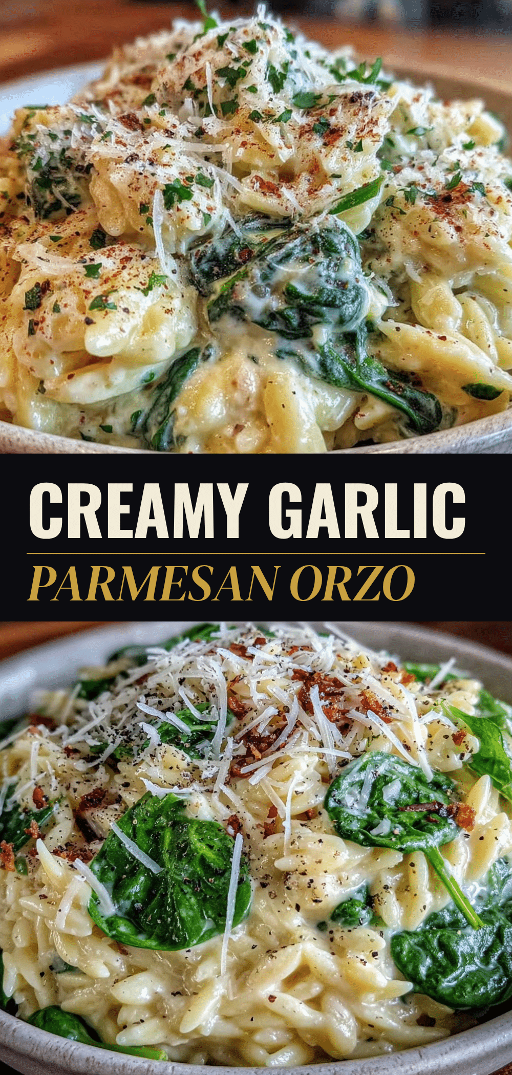 Best Creamy Garlic Parmesan Orzo on the Grill 5 creamy garlic parmesan orzo recipe