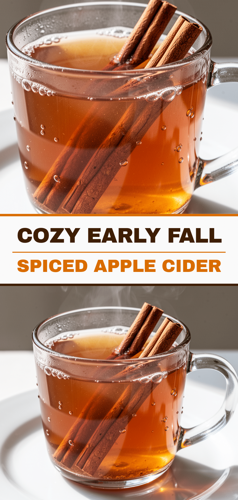 Early Fall Spiced Apple Cider: Easy Cozy Autumn Drink 5 early fall spiced apple cider recipe